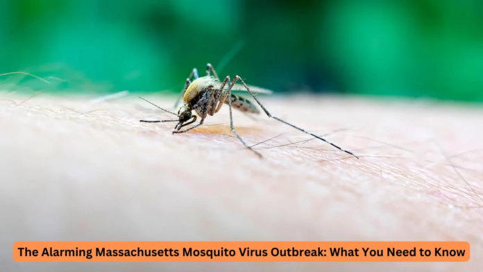 massachusetts mosquito virus