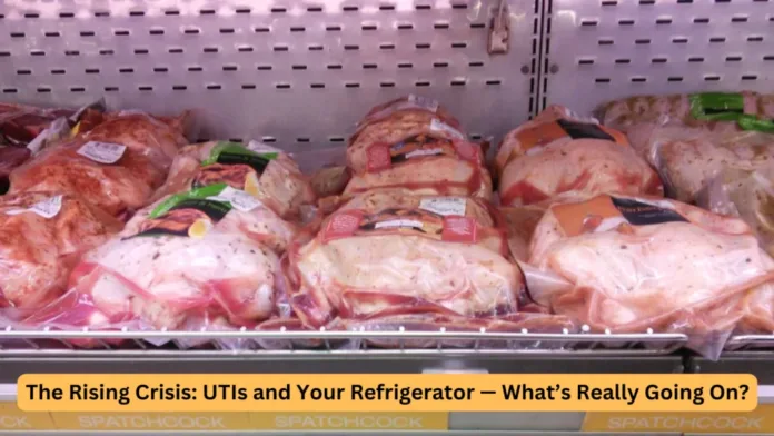 utis rising refrigerator